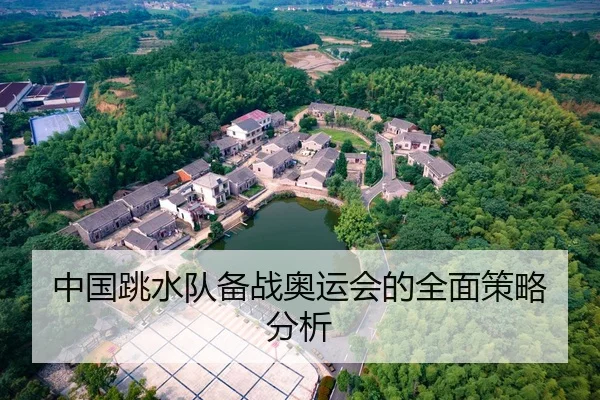 中国跳水队备战奥运会的全面策略分析